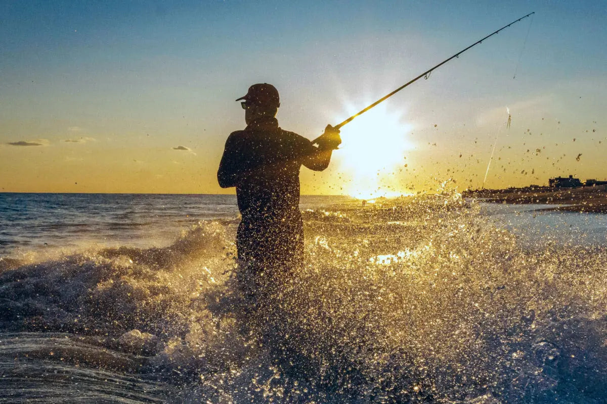 The Top Benefits of a Carbon Neutral Future for Fishing - WISE ANGLER