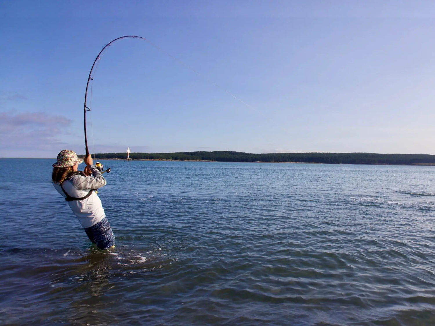 Mastering Live Bait Fishing Technique - WISE ANGLER